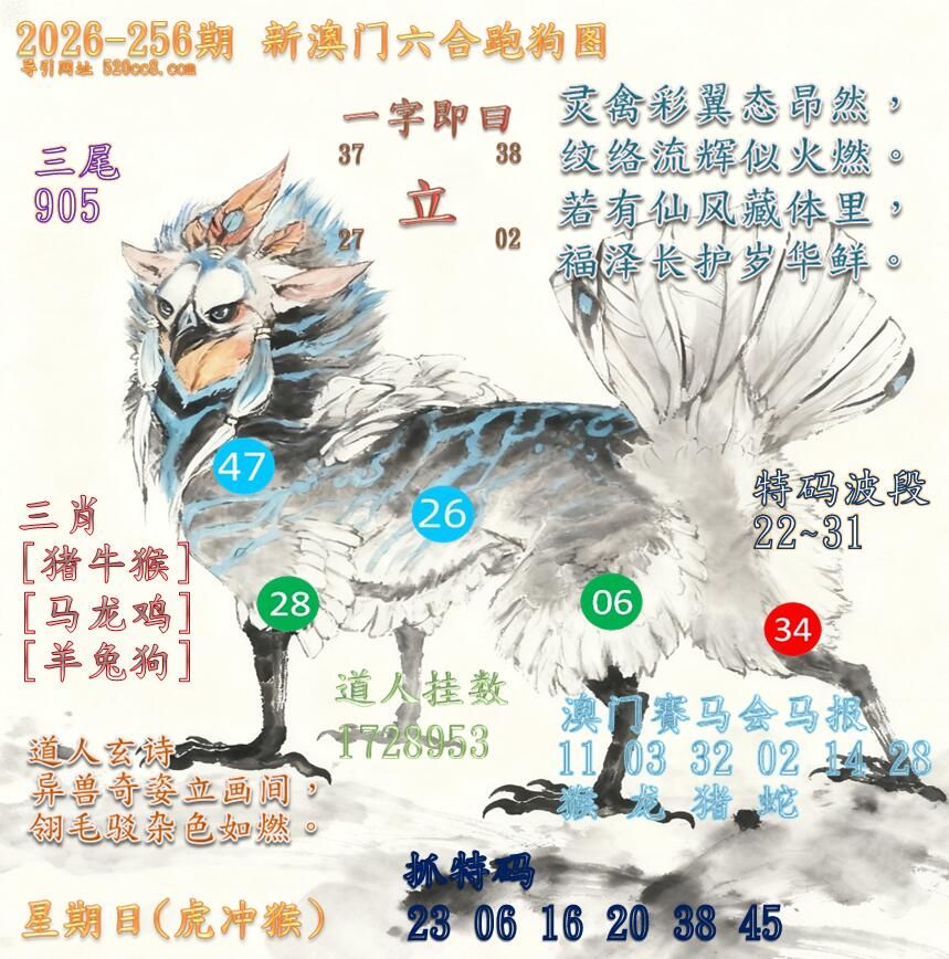 新澳门六合跑马图256期