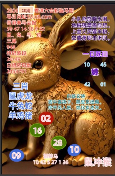 香港六合028期
