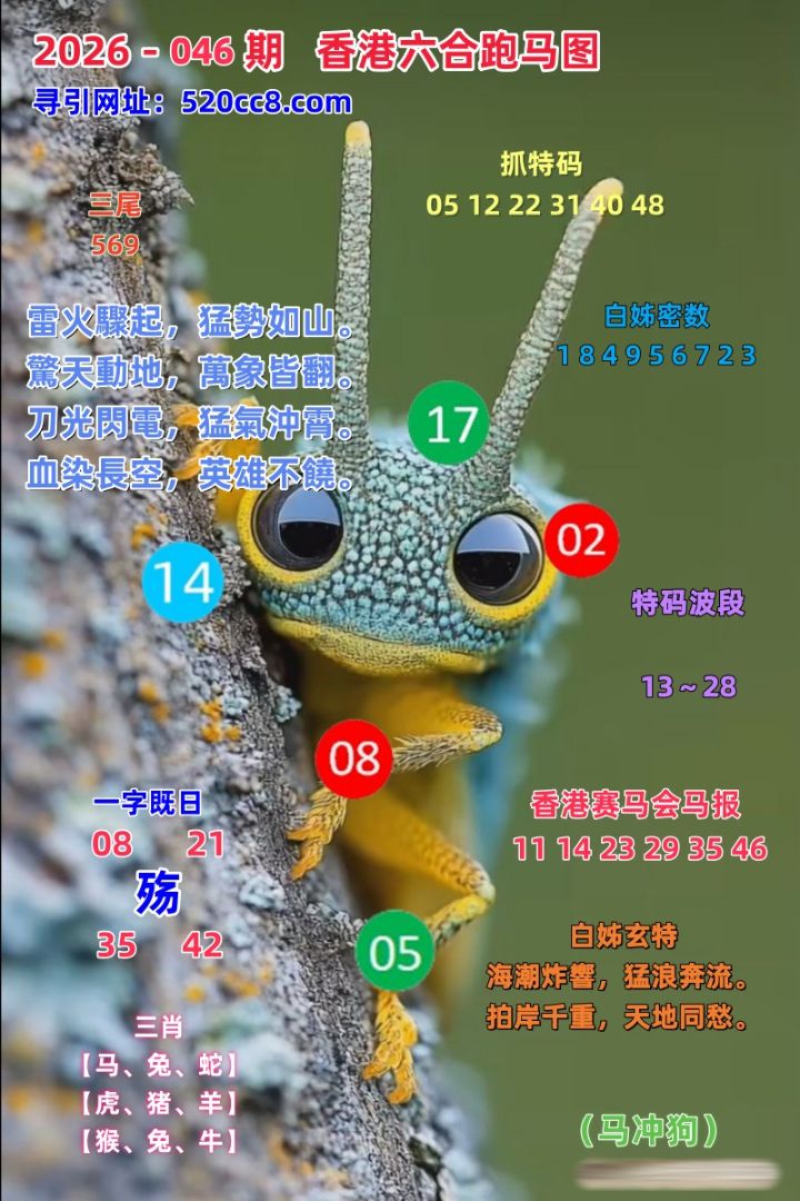 香港六合046期