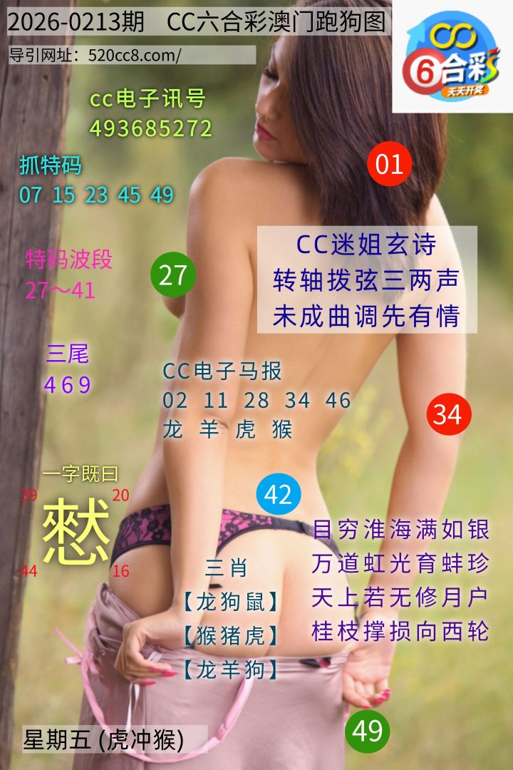CC六合澳门跑马图0213期
